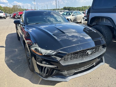 2023 Ford Mustang EcoBoost