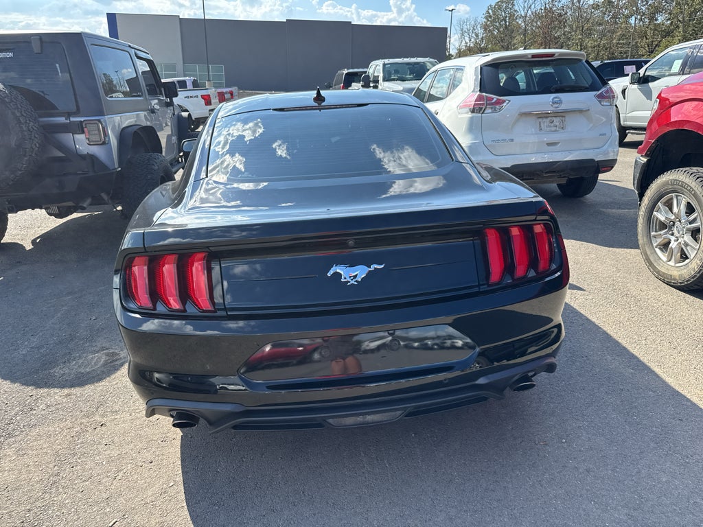 2023 Ford Mustang EcoBoost