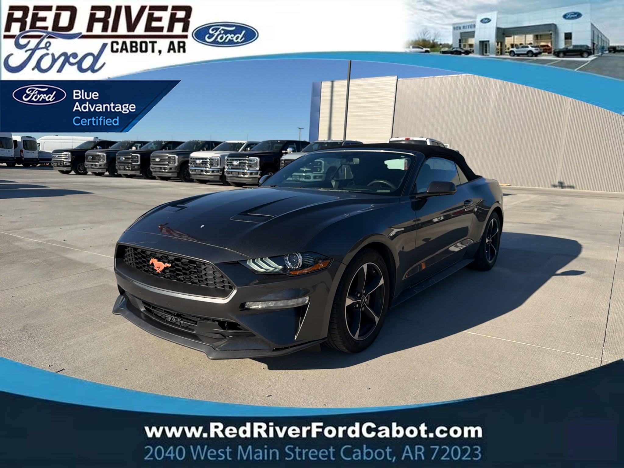 2019 Ford Mustang EcoBoost