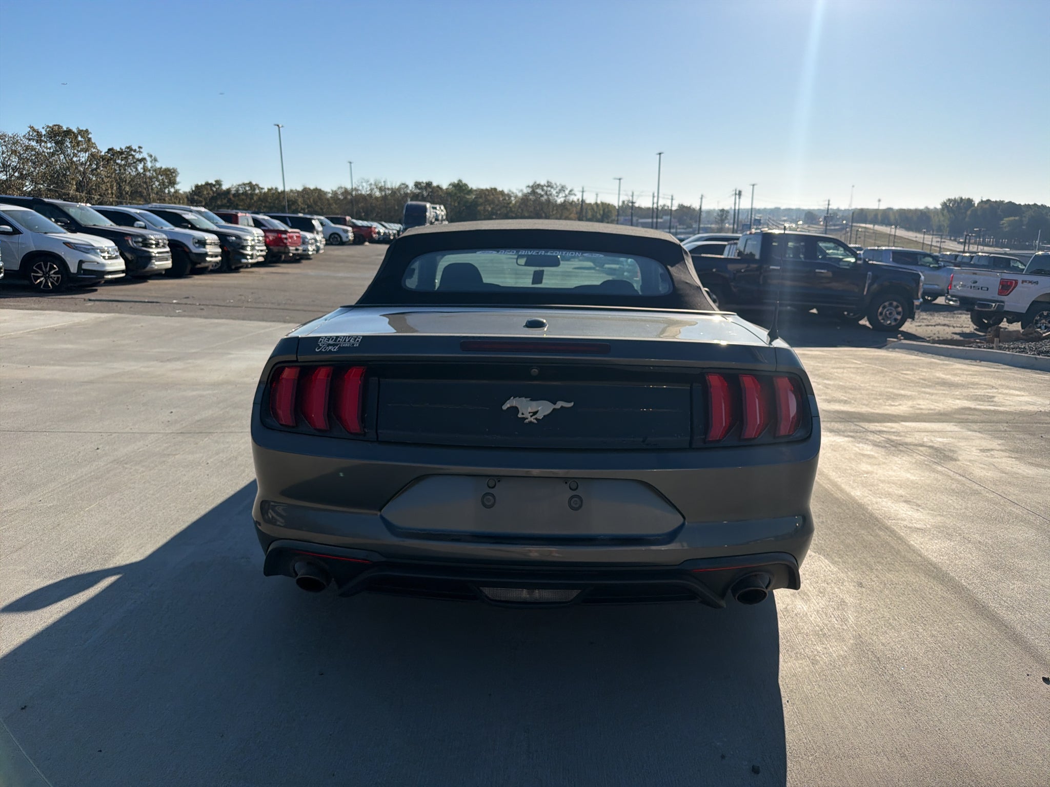 2019 Ford Mustang EcoBoost