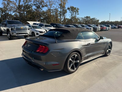 2019 Ford Mustang EcoBoost