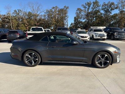 2019 Ford Mustang EcoBoost