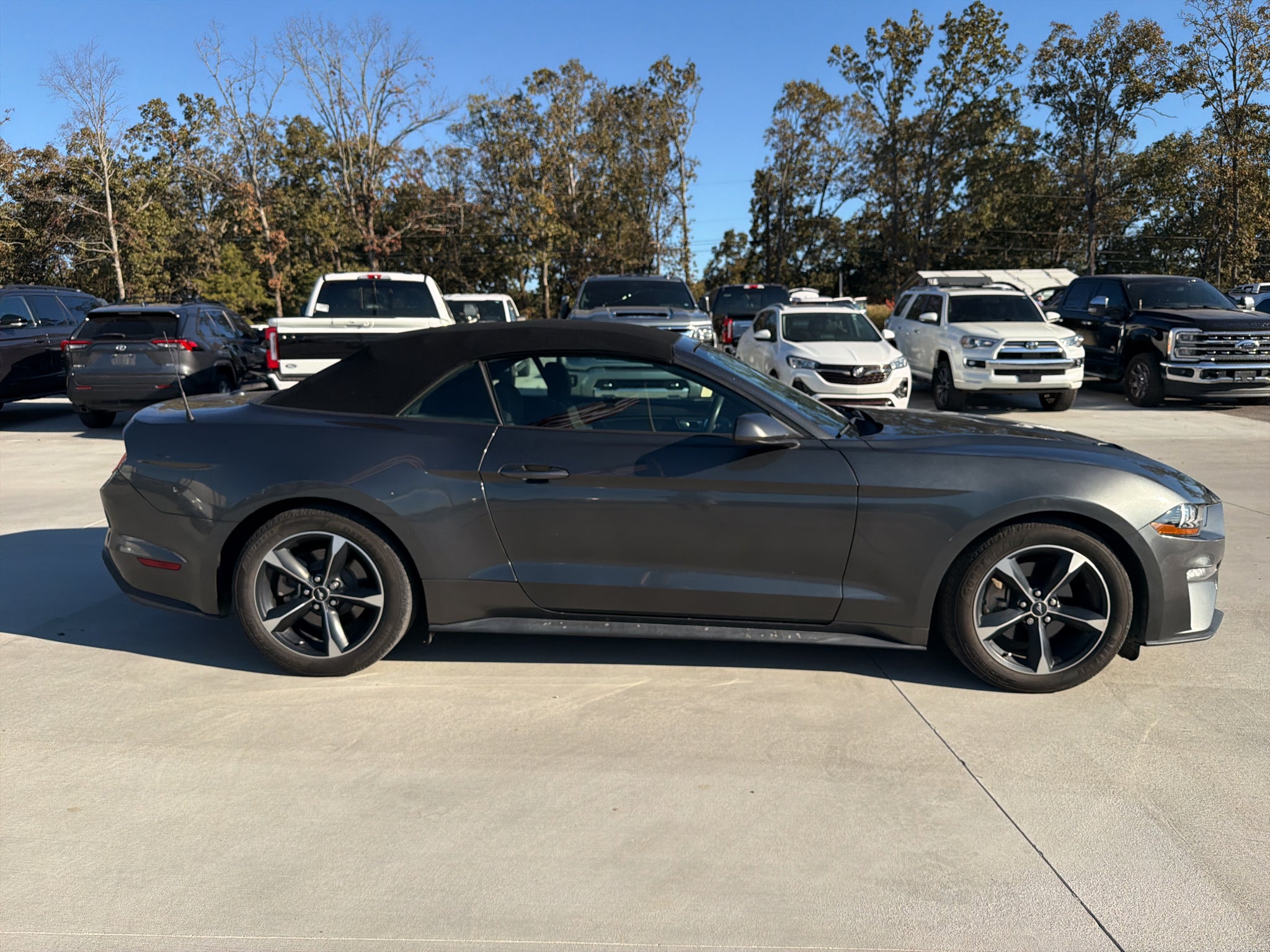 2019 Ford Mustang EcoBoost