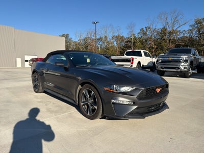 2019 Ford Mustang EcoBoost