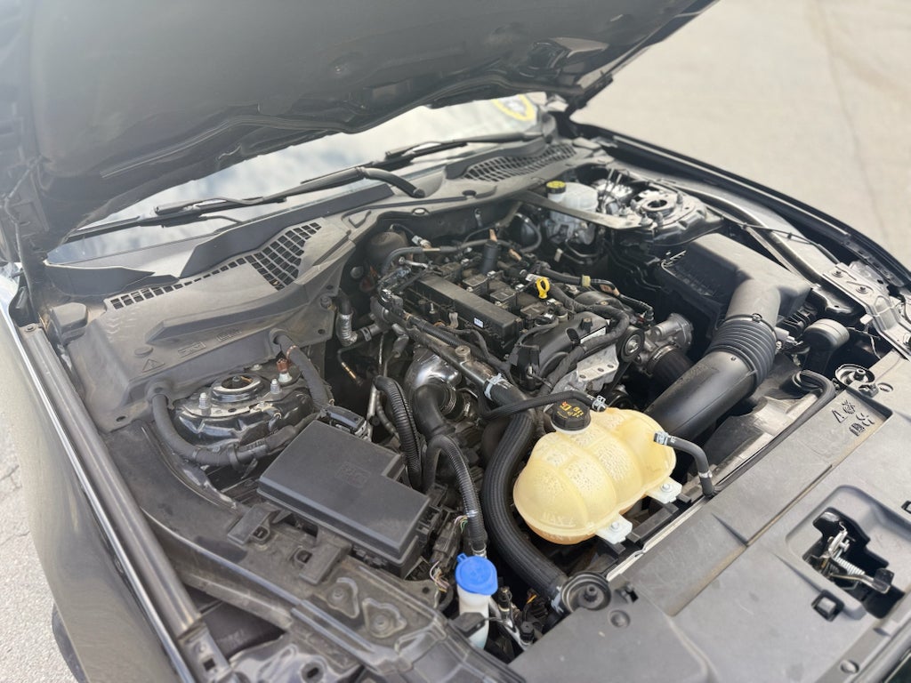 2021 Ford Mustang EcoBoost