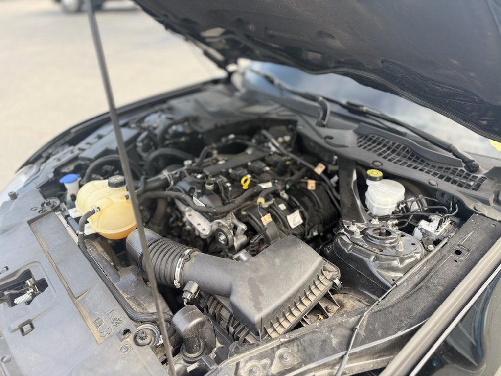 2021 Ford Mustang EcoBoost