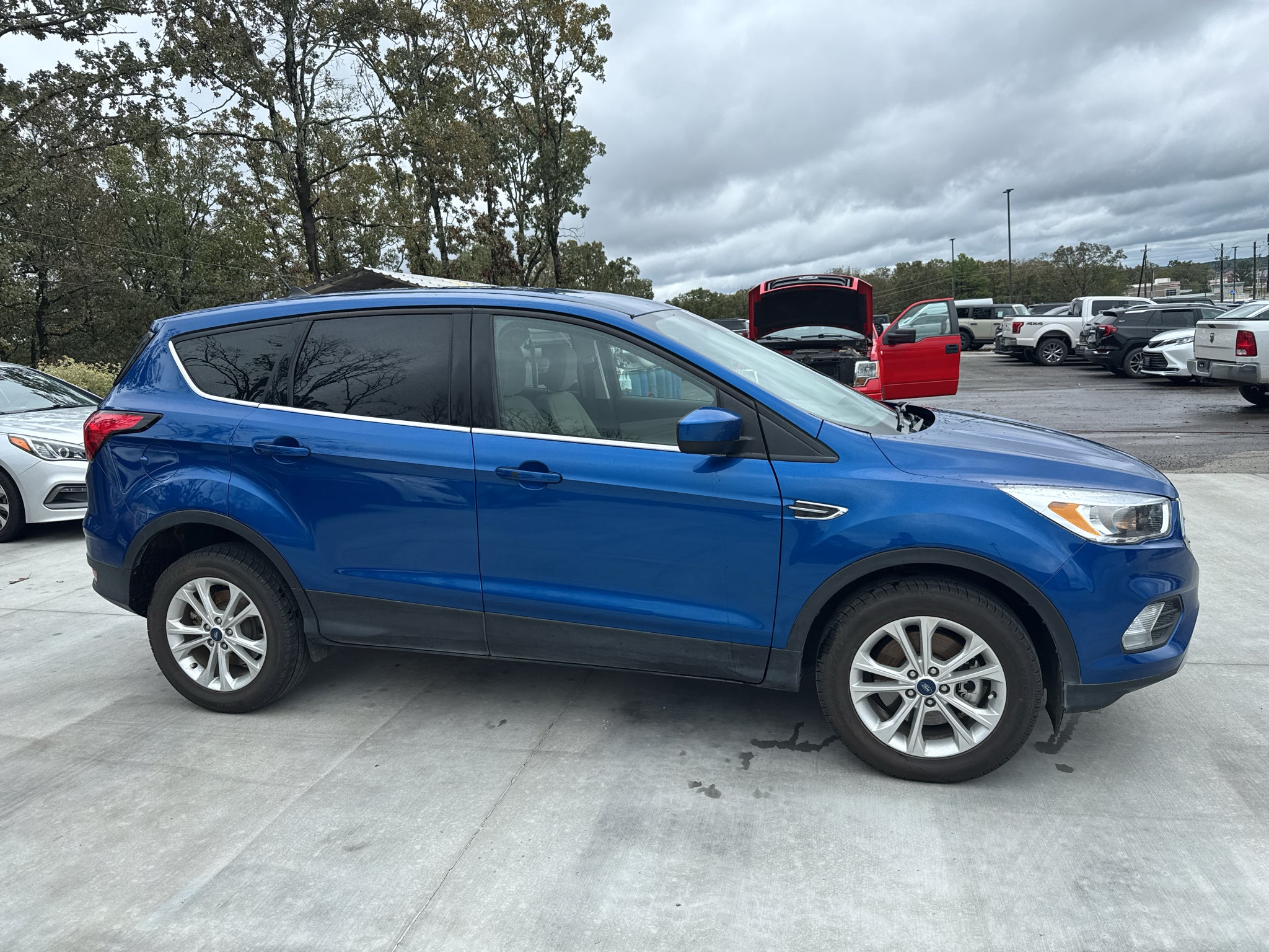 2019 Ford Escape SE