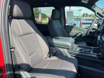 2026 Ford F-150 STX Lobo
