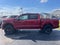 2026 Ford F-150 STX Lobo