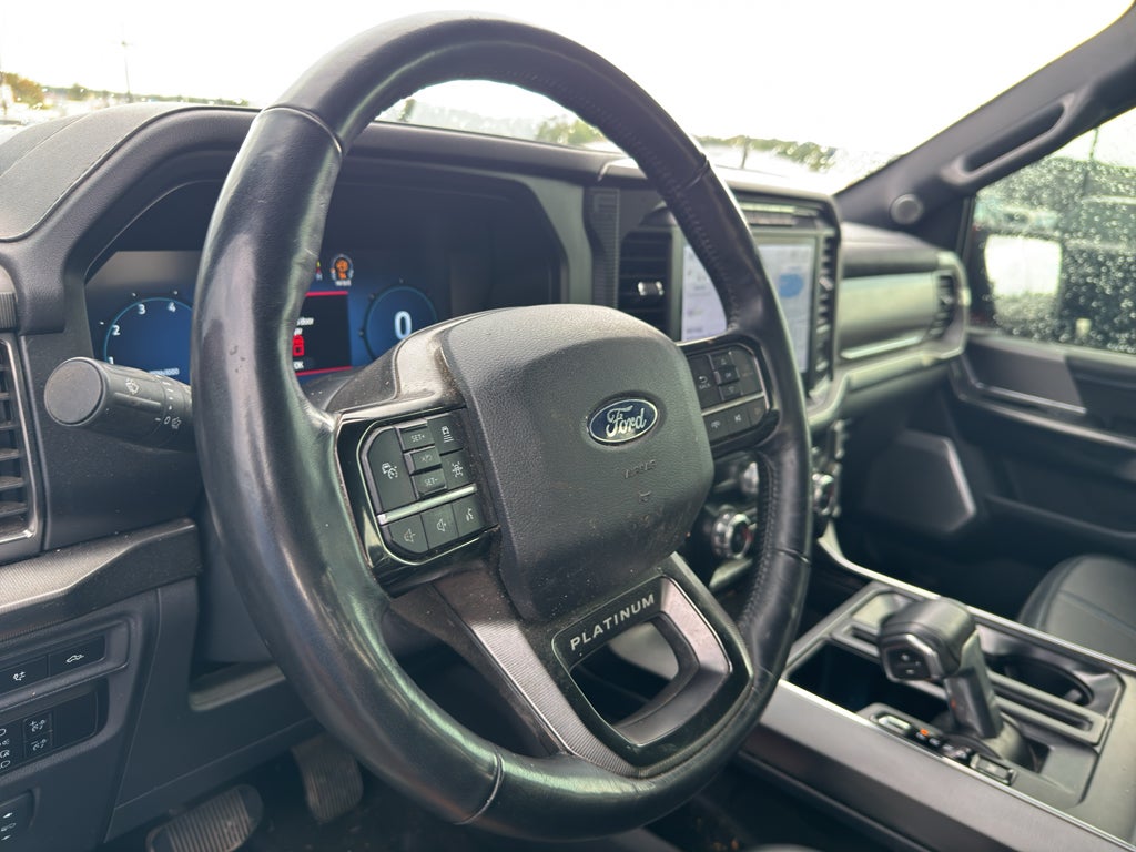 2024 Ford F-150 Platinum