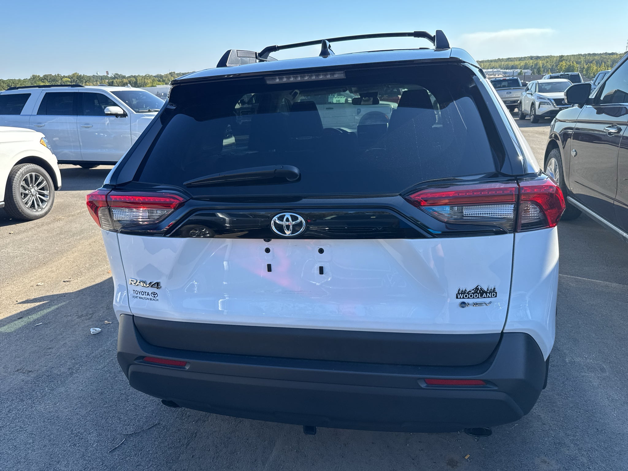 2025 Toyota RAV4 Hybrid Hybrid Woodland