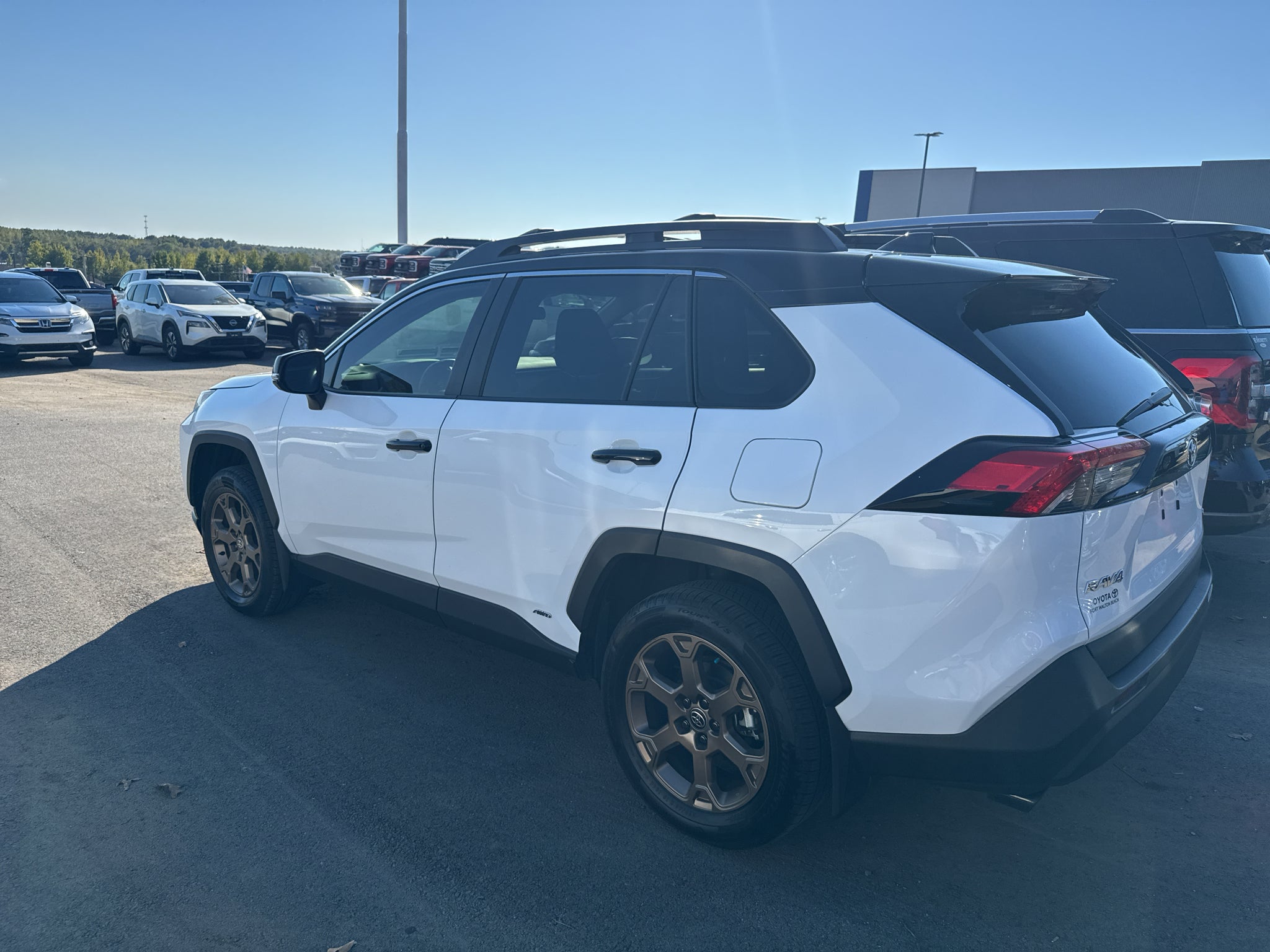 2025 Toyota RAV4 Hybrid Hybrid Woodland