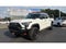 2022 Toyota Tundra Hybrid TRD Pro Hybrid