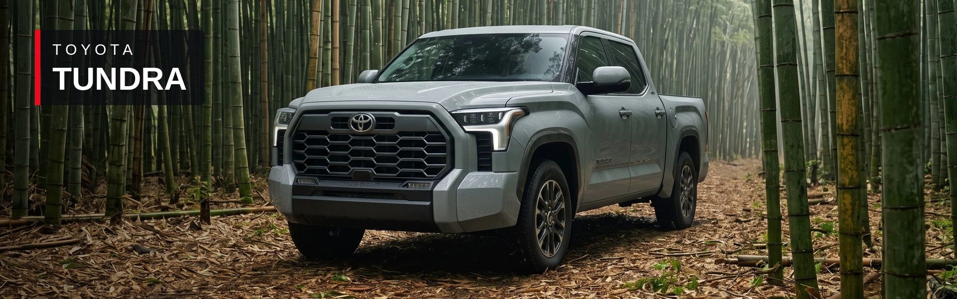 Toyota Tundra at Red River in Wynne, AR